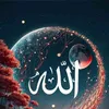 zaed.zaed202