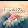 user568301218416