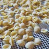 cuorecchiette
