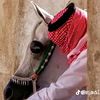 badr.albudour