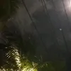 cm.hng0034
