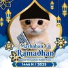 rashya26122011