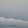 nicol_3456r
