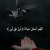 .1993.gaza