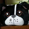 anzie_4141