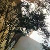 rayane.mimoza