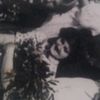 user1796600616622