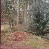 cam_199997