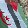mohamed.melouki2