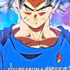animelord607