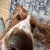 mollie_begbie
