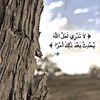 user1865025126285