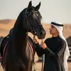 ab__d110