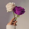 user5112011212678