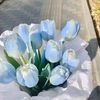 marwa.31809