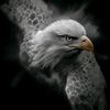 user9107219372556