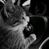 meriem_sxaa1