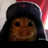 myocat_zero