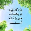 musl_im33