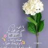 user2633920729772