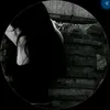 olo.81