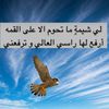 qat1118