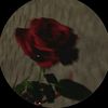 am.hazem55