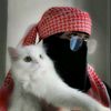 qamar_1_1_2006