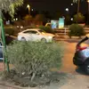 leon1_4