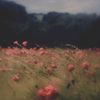 unknowntothedunya_