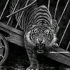 khaled.rashad69