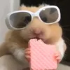 whosron77