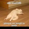 chicho19.craft