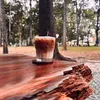 hcccuong95