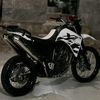 kiny303