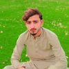 adnan222365