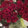 ramim5486