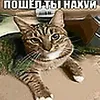 skwezyks