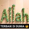 aishah2654
