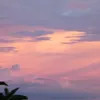 manhdung900