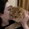 1qaez3