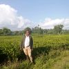 danson.rongu