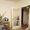like.parrots8