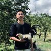 PUTU HOME FARM