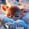 user4411028011113