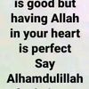 aminamuhammad9866