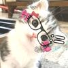 lionaluv0