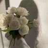 medine85310