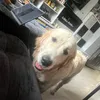 theautismo_esme