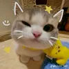 thanhhmoc1204